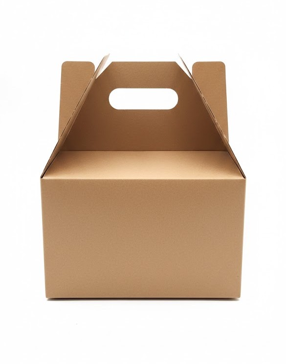 Box Lunch 25x25x16