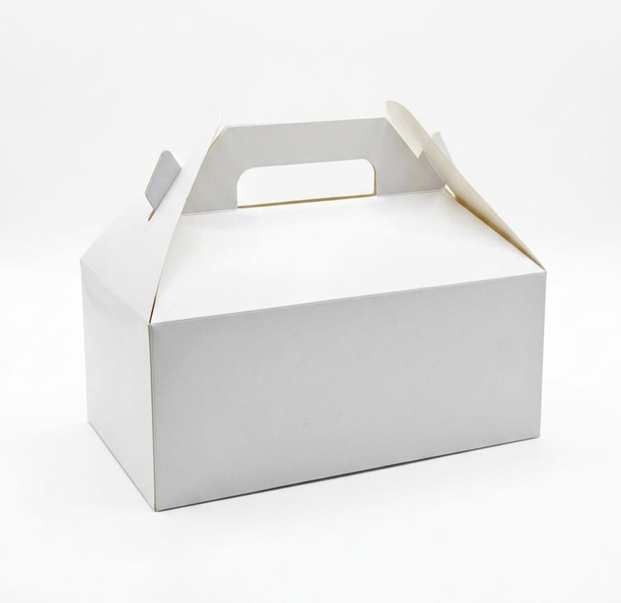 Box Lunch 24.5x11x10