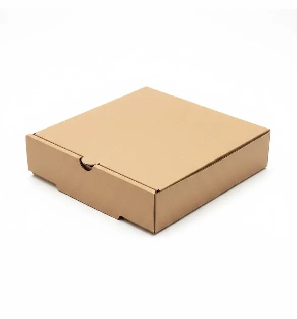 Caja P/Pizza 19x19x5