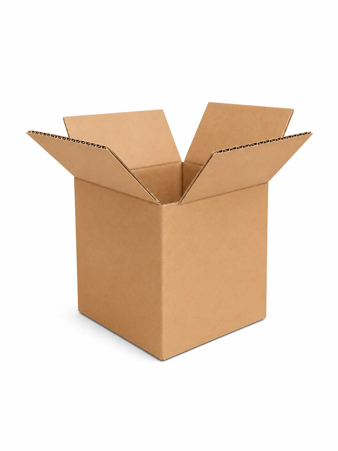 Caja Regular 10x10x10