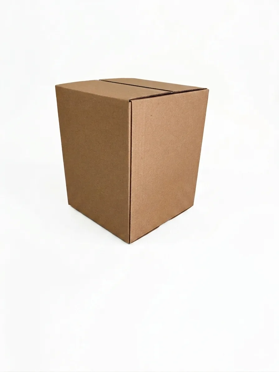 Caja Regular 20x20x25