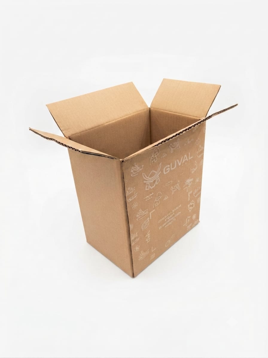 Caja Regular 22.5x14.5x25 (saldo)