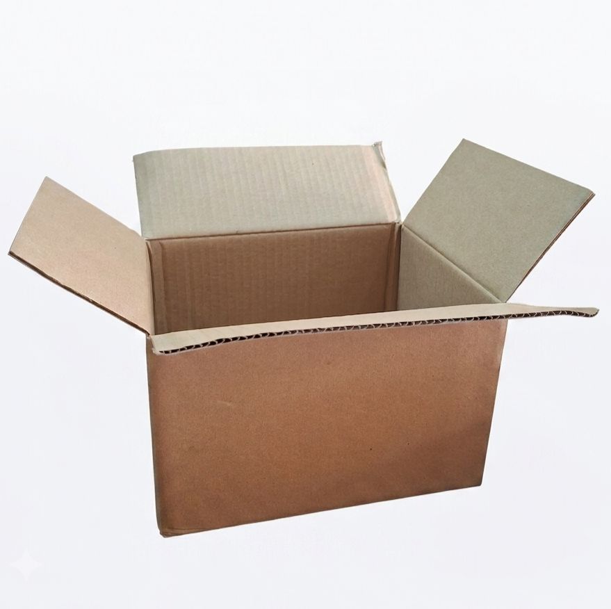 Caja Regular 25.2x18.8x18 (saldo)