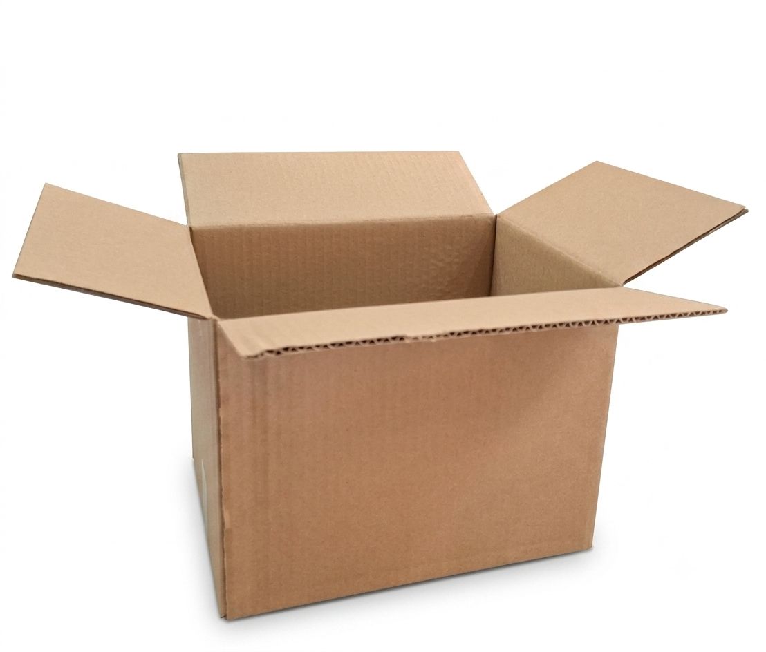 Caja Regular 27.4x20.5x20.6 (saldo)