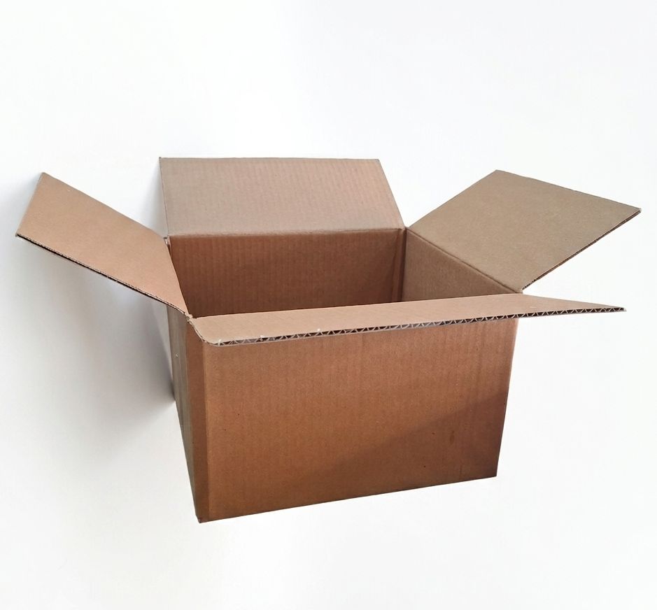 Caja Regular 30x28x19.5 (saldo)