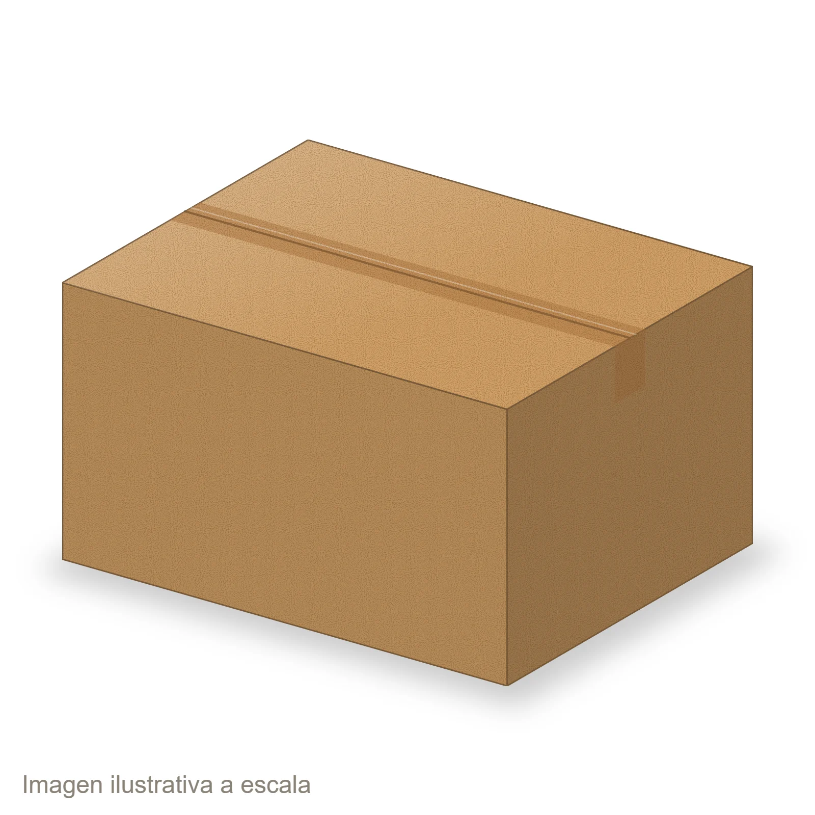 Caja Regular 52x41x29 (saldo)